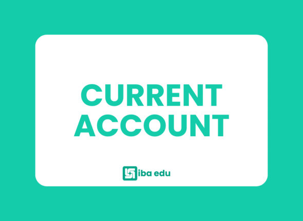 IBA EDU - Thumbnail (18)